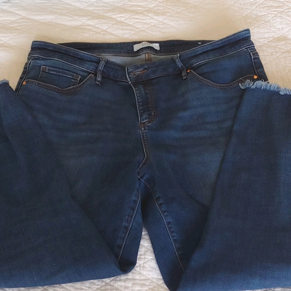 LOFT High Rise Skinny Jeans